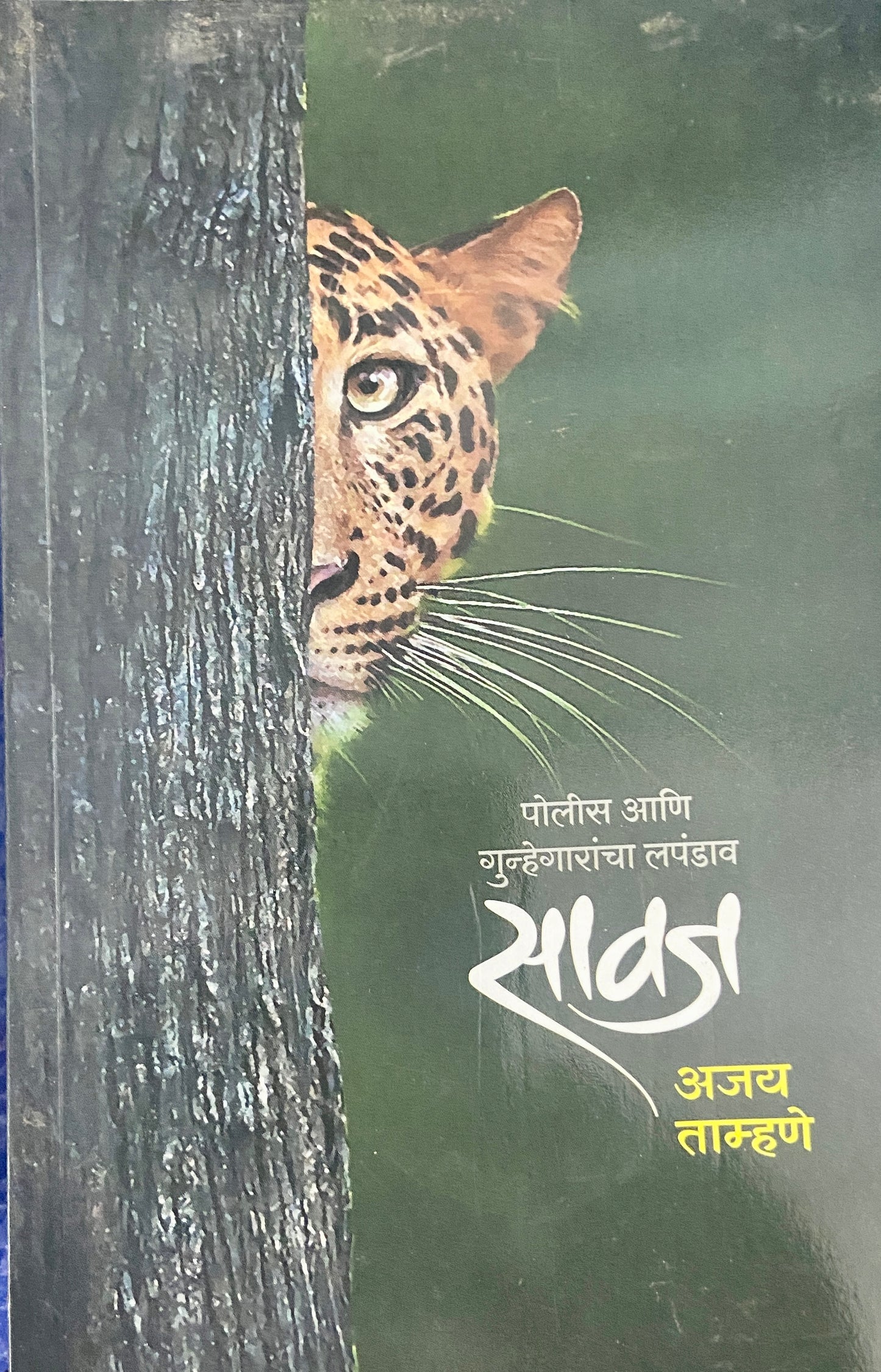 Sawaj by Ajay Tamhane